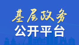 基層政務(wù)公開(kāi)平臺(tái)